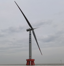 抗擊臺風的“白色戰士”，電氣風電打造！